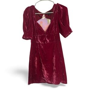 Pink Velvet Dress